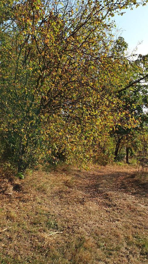 Api Centar Brdjani Villa Brgjani Dış mekan fotoğraf